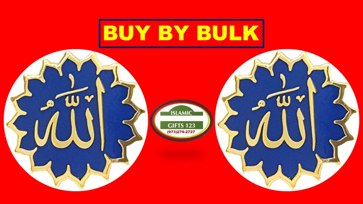 Allah Lapel Pins 100 Islamic Favor FREE SHIPPING