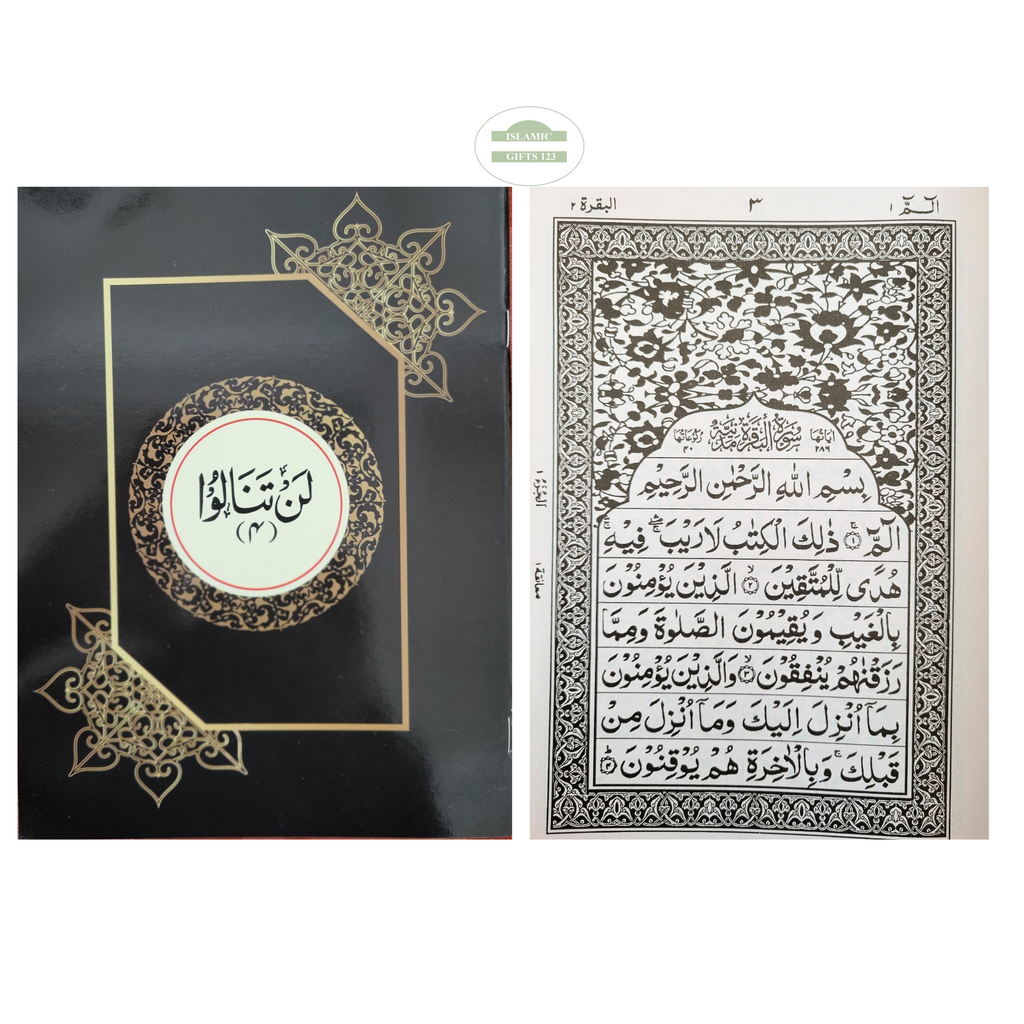 Holy Quran Para Set Large Bold Script 9 Lines 30 Sections Black+white pages