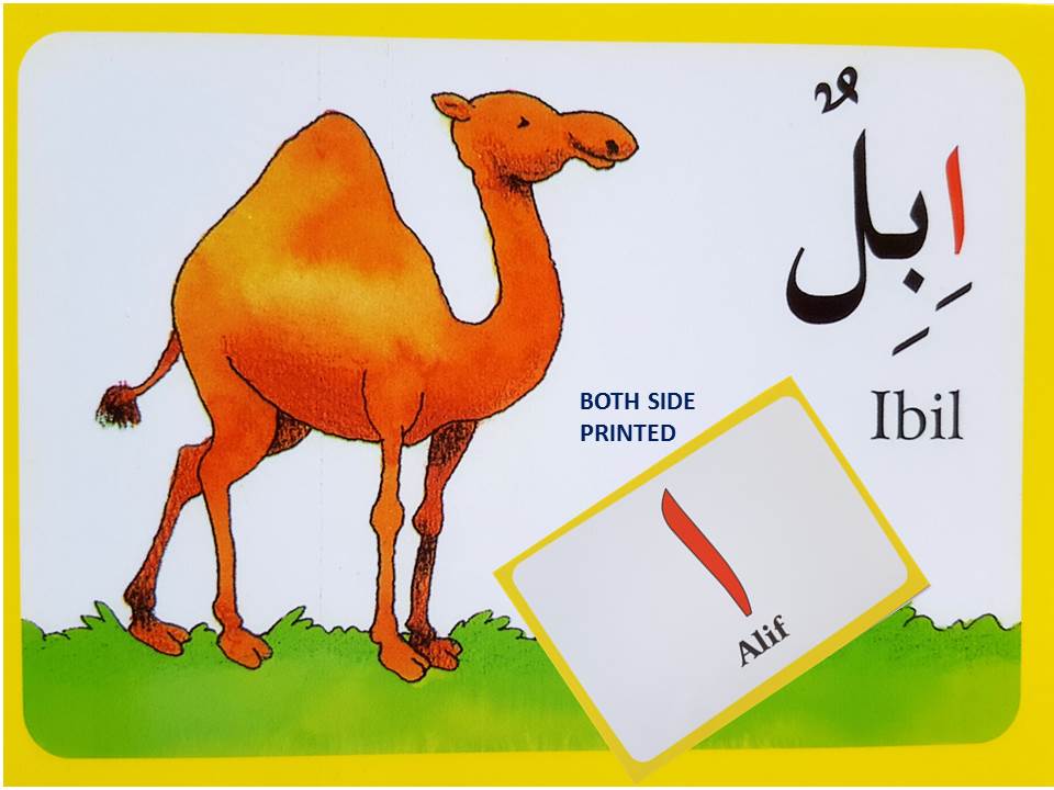 Arabic Alphabet Flash Cards in Bulk – Educational Arabic Flash Cards for Kids