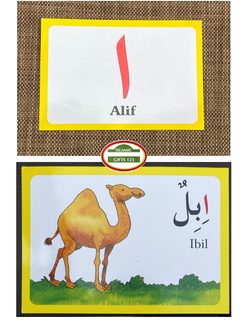 Arabic Alphabet Flash Cards in Bulk – Educational Arabic Flash Cards for Kids