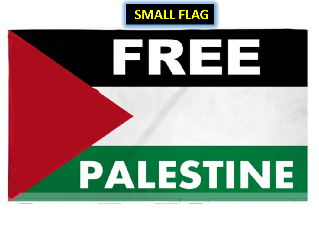 Free Palestine Flag - Medium Size 2'x3' | Support Palestine