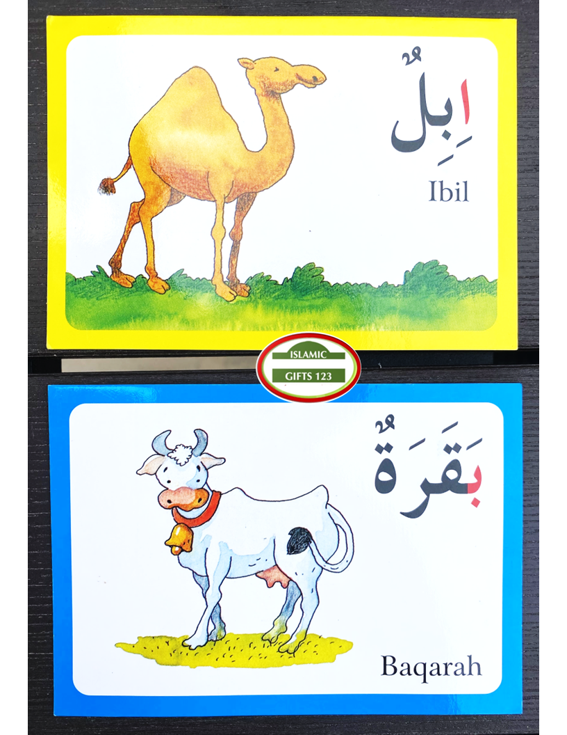 Arabic Alphabet Flash Cards in Bulk – Educational Arabic Flash Cards for Kids